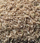 Echter brauner Basmati Reis BIO 2,5 kg 